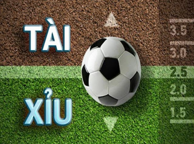 Cách đọc tài xỉu mà bạn nên biết