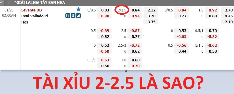 Kèo 2-2.5 là gì?