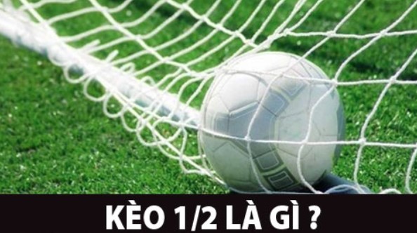 Khái niệm kèo 1/2 là gì?