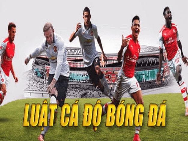 Luật cá độ bóng đá là gì?