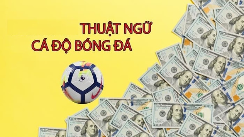 Thuật ngữ nhà cái châu Á