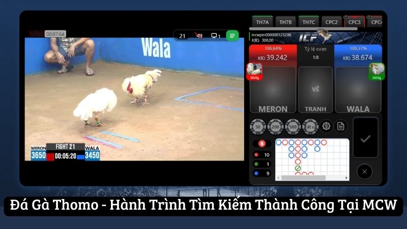 da-ga-thomo---hanh-trinh-tim-kiem-thanh-cong-tai-mcw