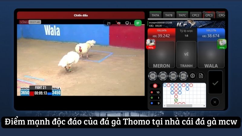 da-ga-thomo---hanh-trinh-tim-kiem-thanh-cong-tai-mcw