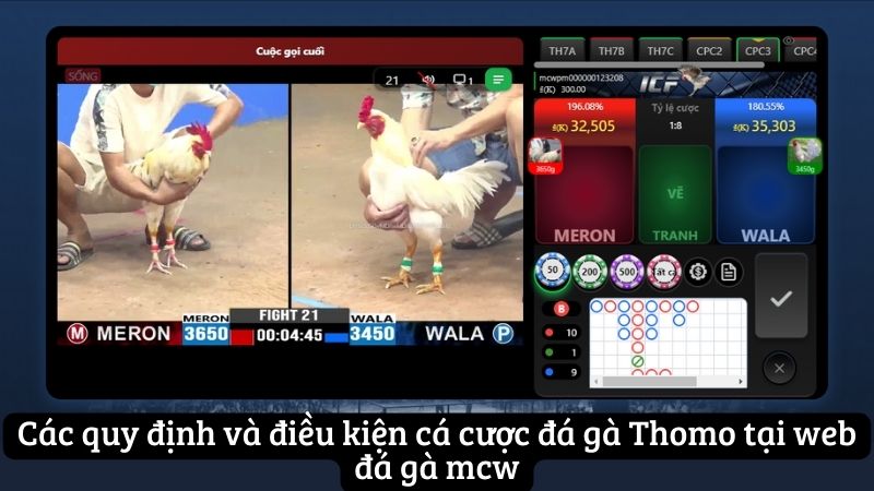 da-ga-thomo---hanh-trinh-tim-kiem-thanh-cong-tai-mcw