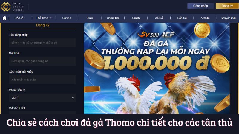 da-ga-thomo---hanh-trinh-tim-kiem-thanh-cong-tai-mcw