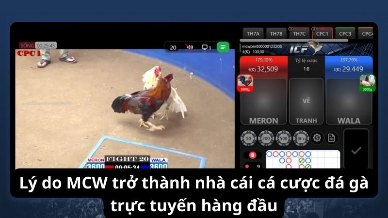 mcw---noi-khoi-day-niem-dam-me-da-ga-cua-ban